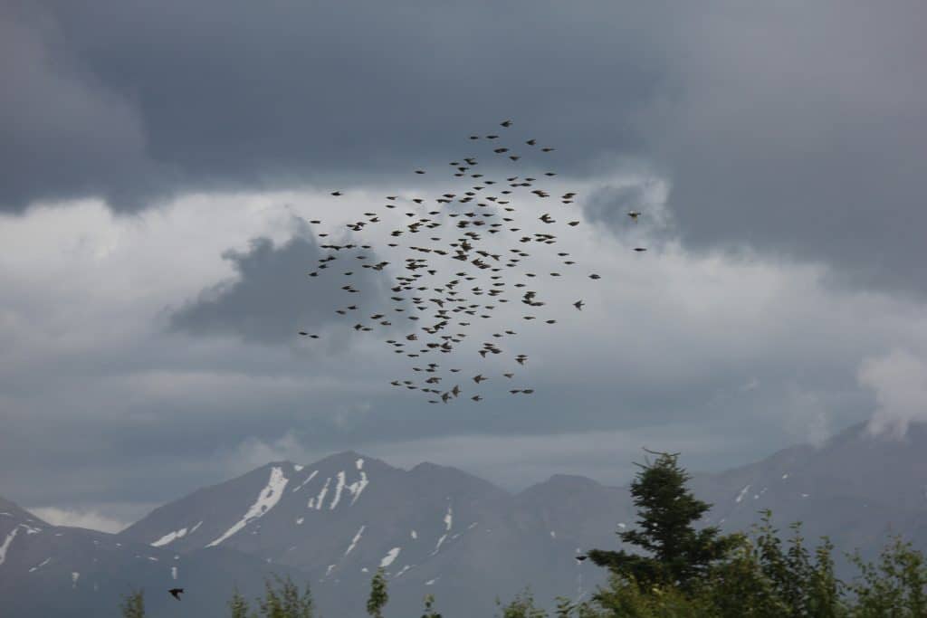 SAP migration deadline looms as Business Suite 7 support nears its end - Payrollminds