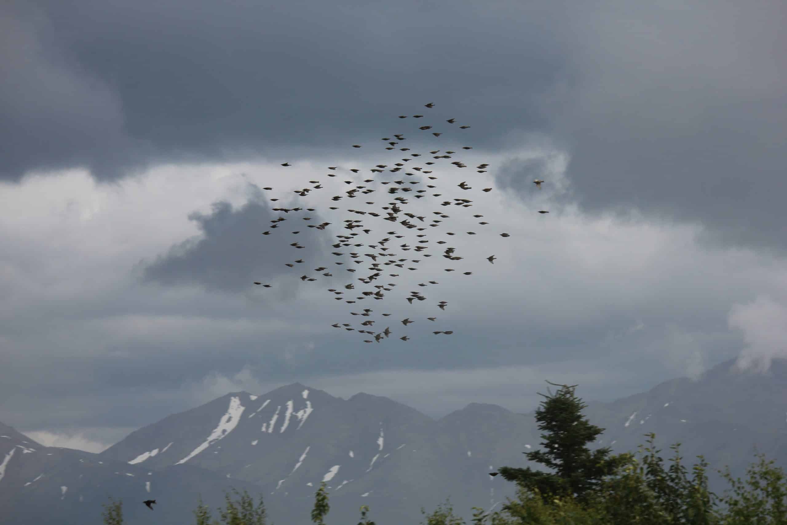 SAP migration deadline looms as Business Suite 7 support nears its end - Payrollminds
